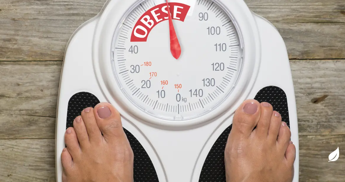 10 Questoes Sobre Obesidade Natuphitus Cosmetica